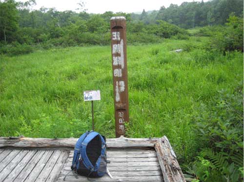 玉原湿原